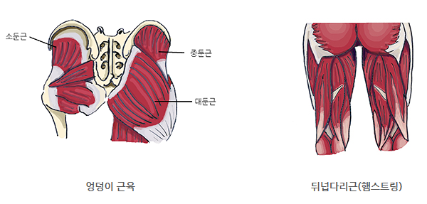 클래스윔 스포츠센터 이미지