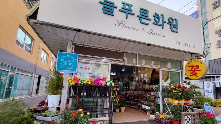 늘푸른화원 이미지
