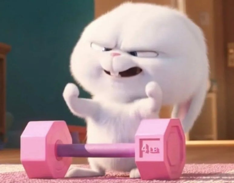 쨔요 이미지