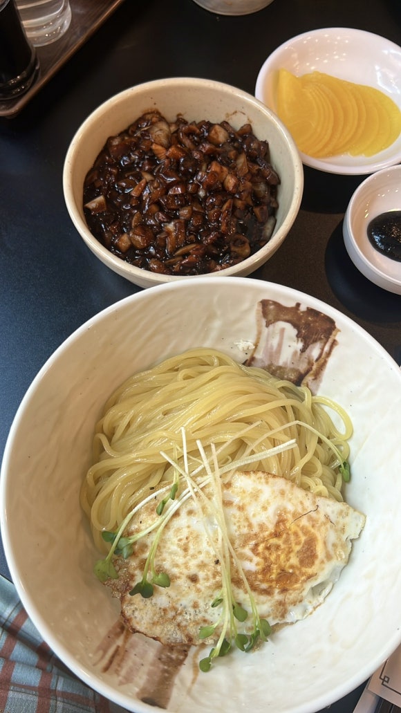 아방성 이미지