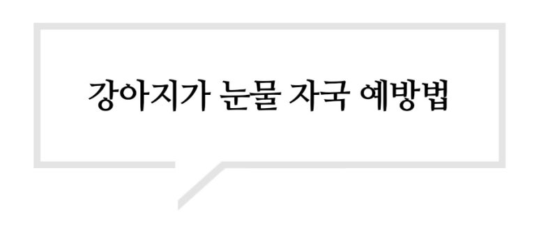 강북에이스애견미용학원 이미지