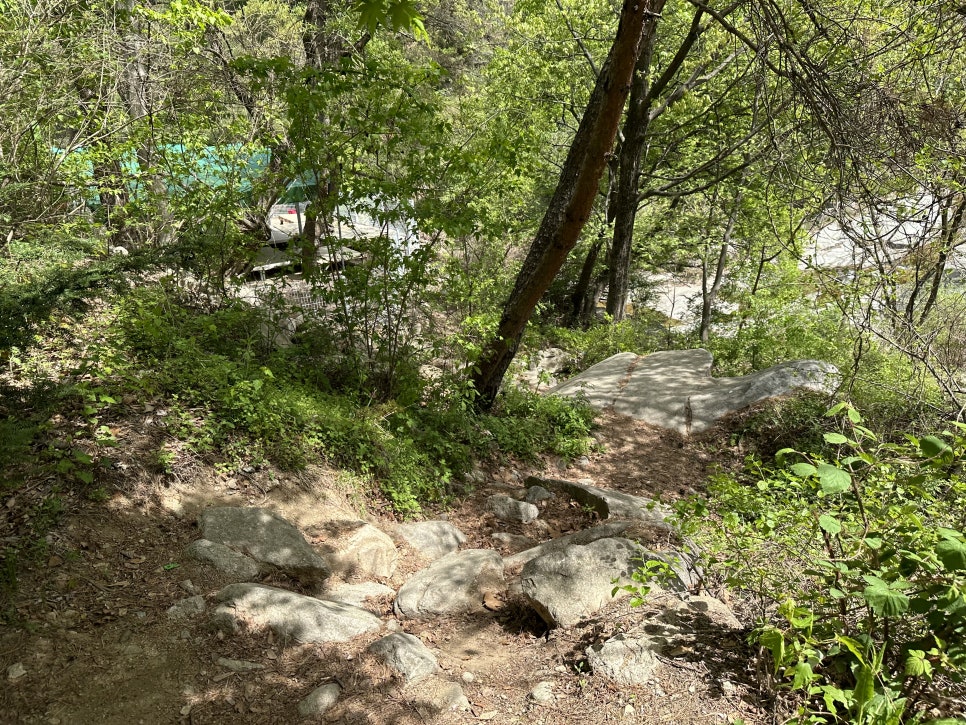 동산오토캠핑장 이미지