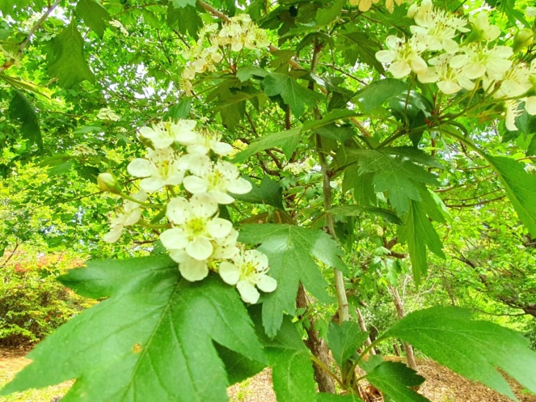 벌크커피 안산상록점 이미지