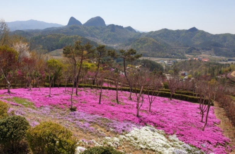 동산구이식당 이미지
