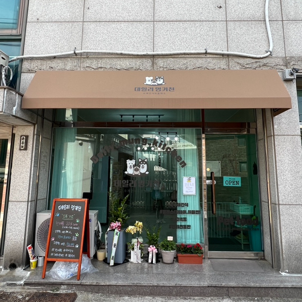 데일리 멍키친 이미지