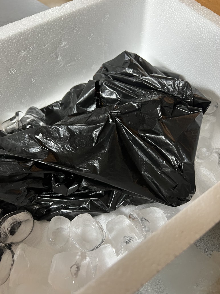 못난이샤크실내바다낚시터 이미지