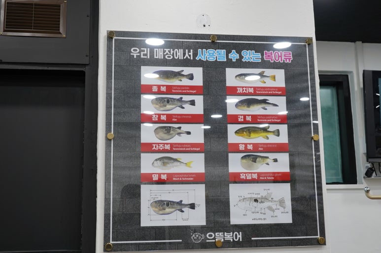 으뜸복어 이미지
