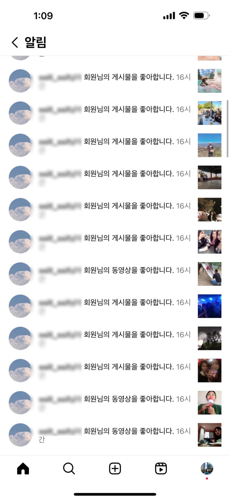 사쿠사쿠내리점 이미지