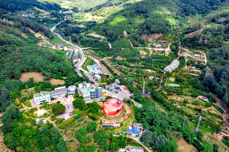 행복한 곤충 이미지
