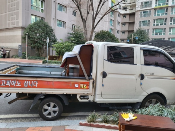 보라피아노 이미지