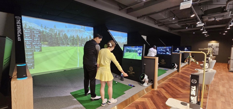 더스윙블랙동탄2 이미지