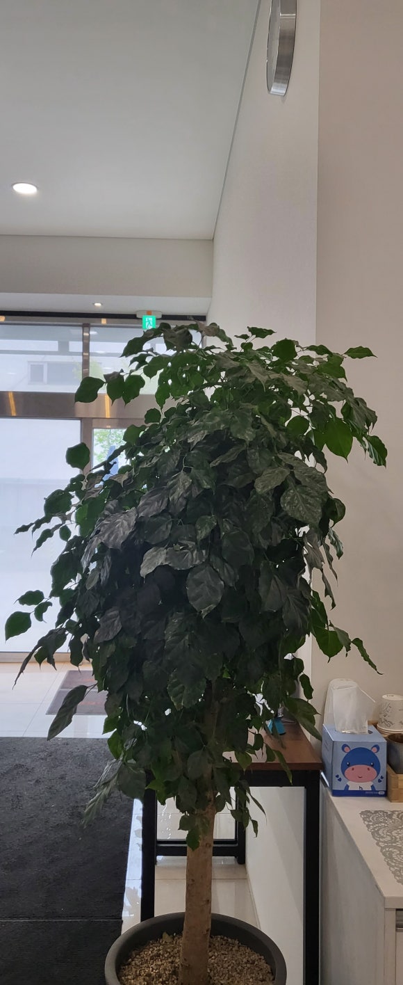 블루핸즈동탄현대자동차 이미지