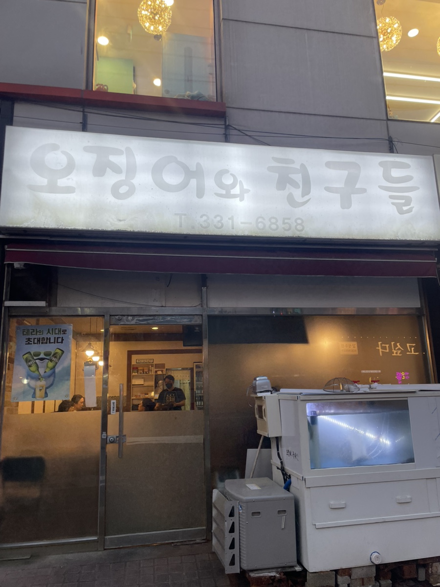 오징어 와 친구들 이미지
