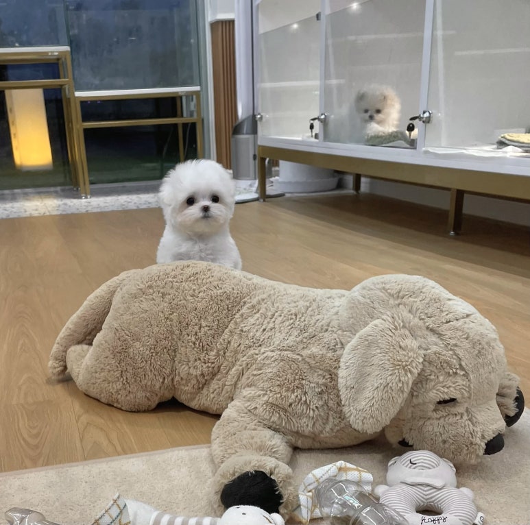 만나스토리 이미지