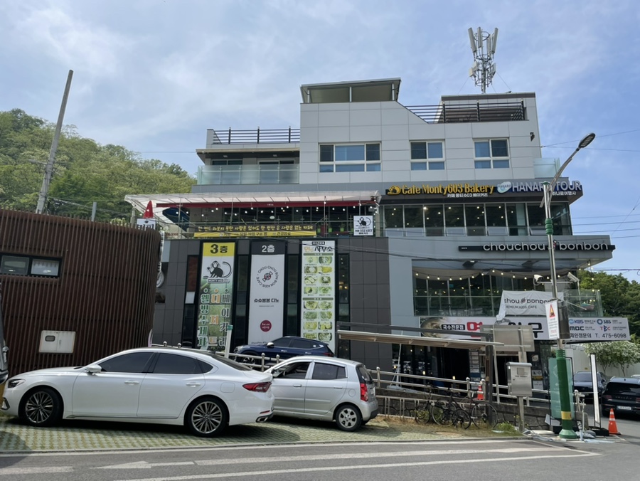 슈슈봉봉디노 이미지