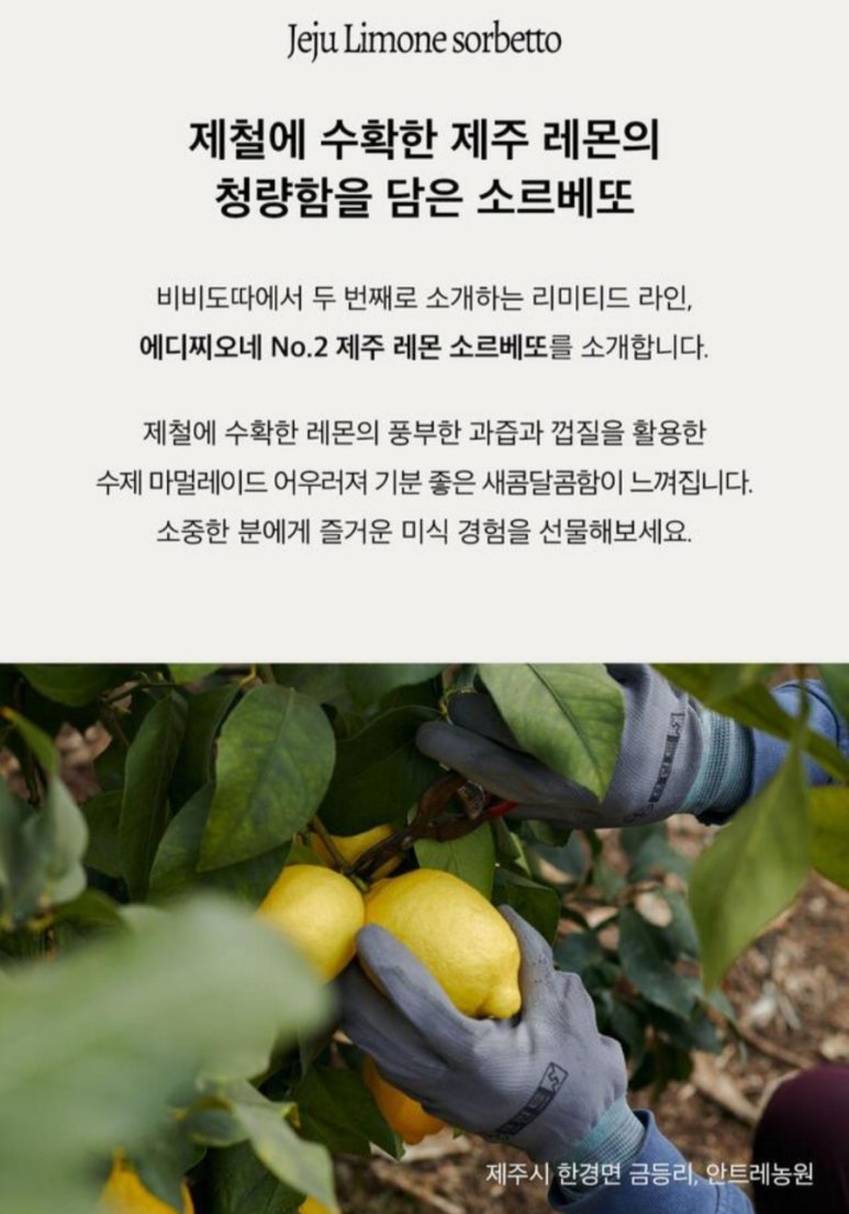 비비도따 이미지
