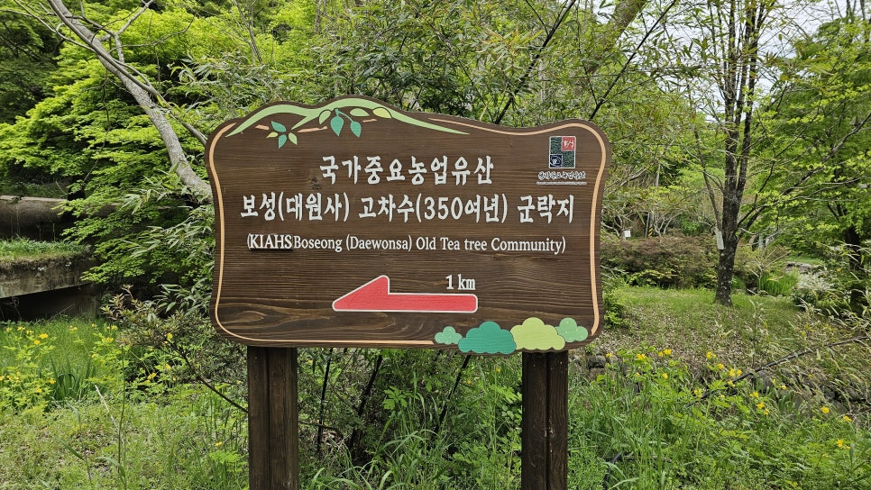 오국사 이미지