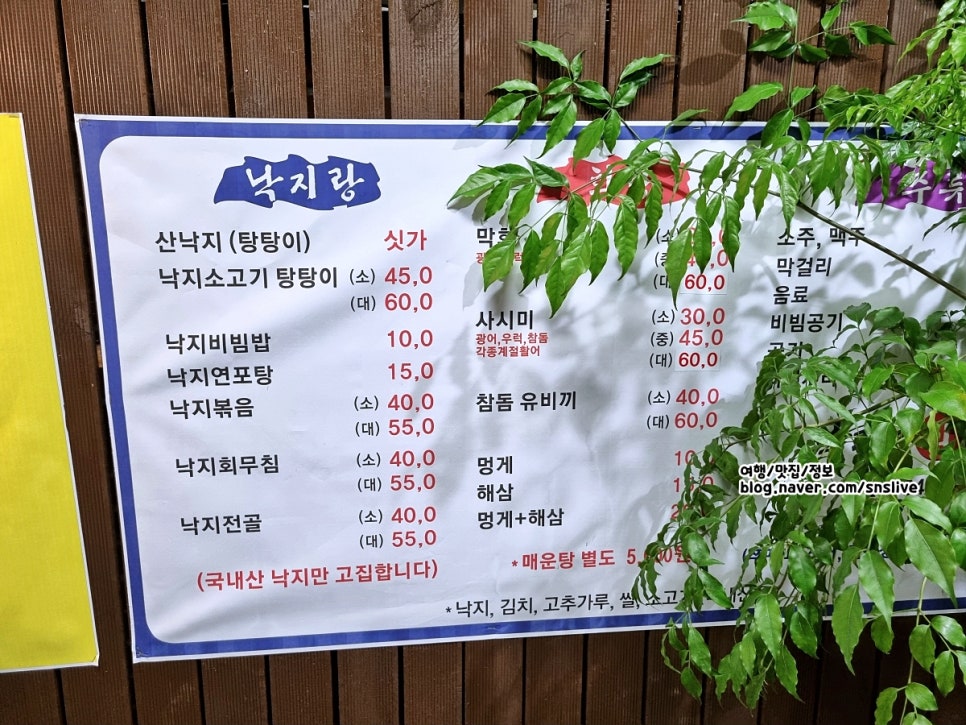 낙지랑회랑 이미지