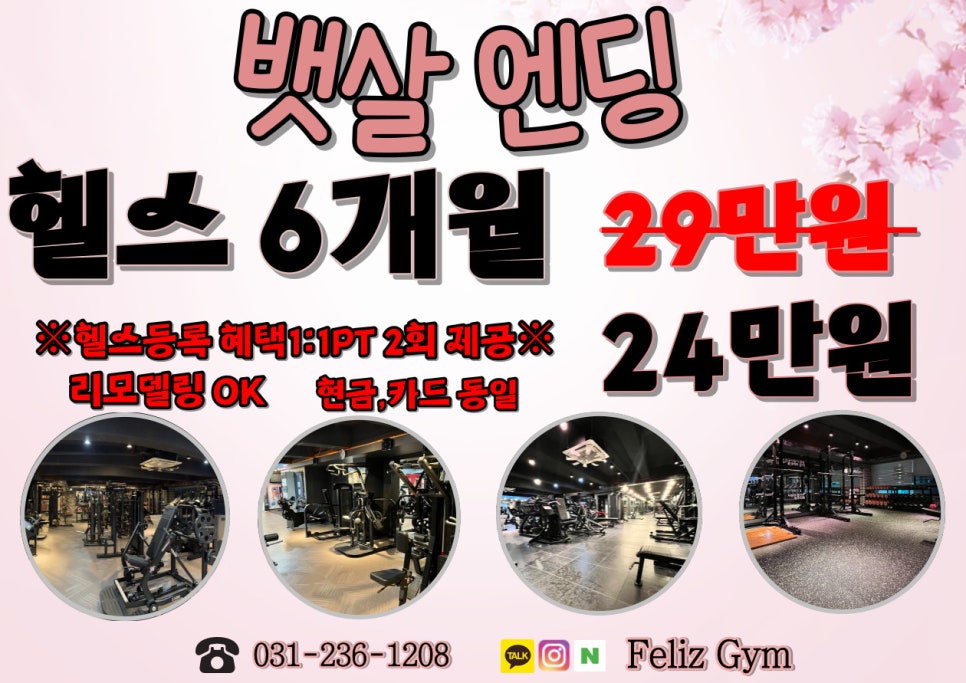 펠리스짐 이미지