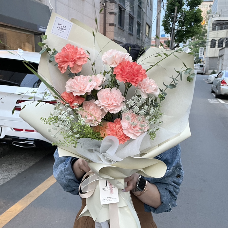 벨르플레르 이미지