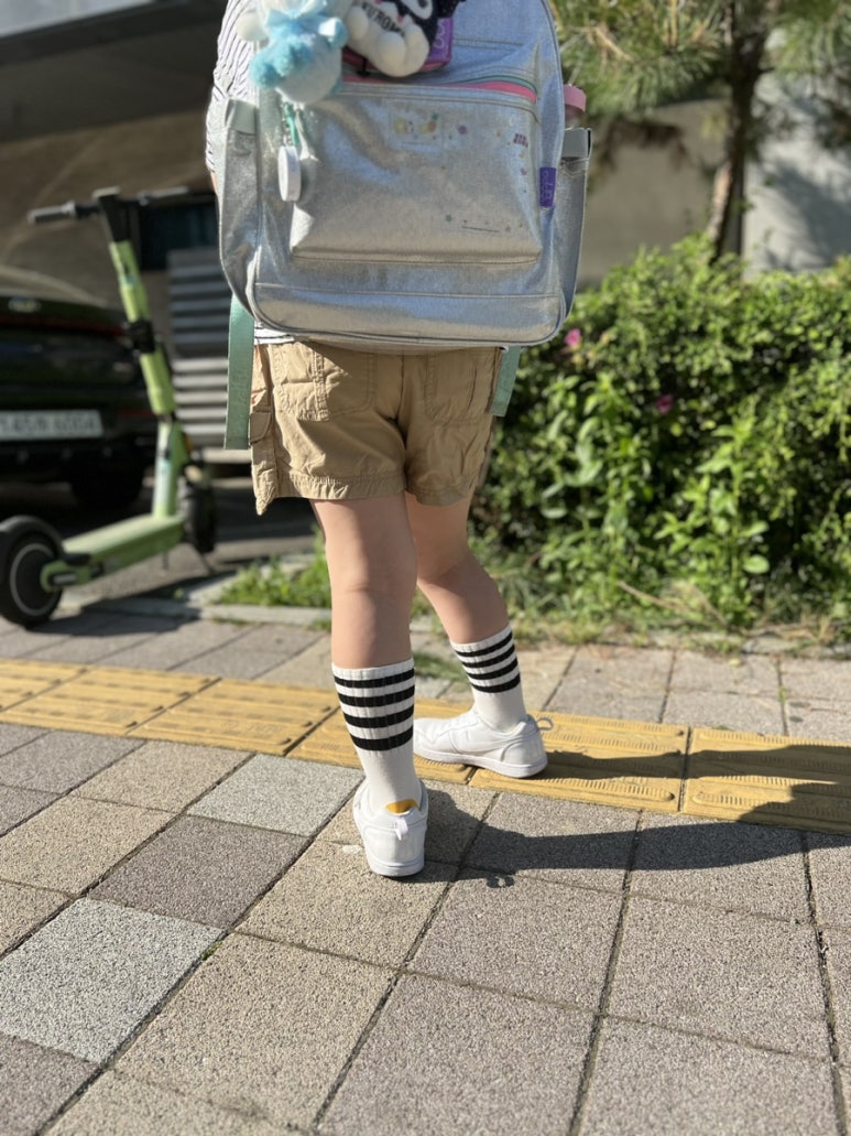 코코마뇽 이미지