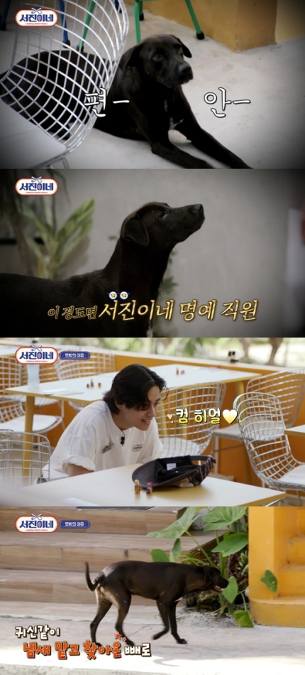 빼로(perro) 이미지