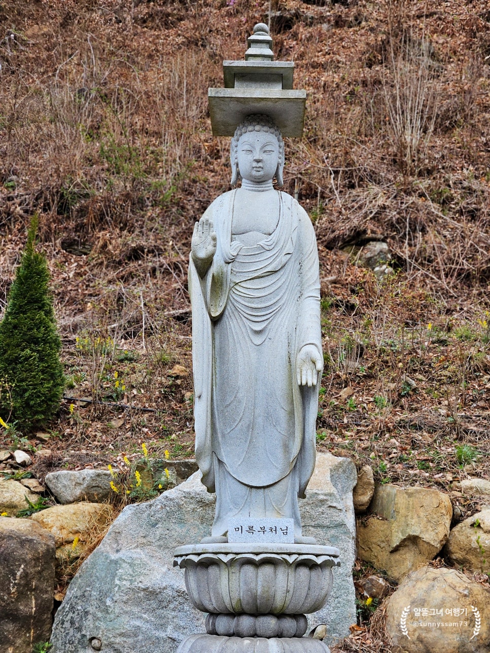 연화불교사 이미지