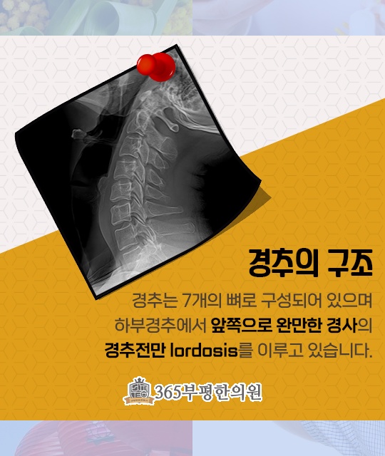 365부평한의원 이미지