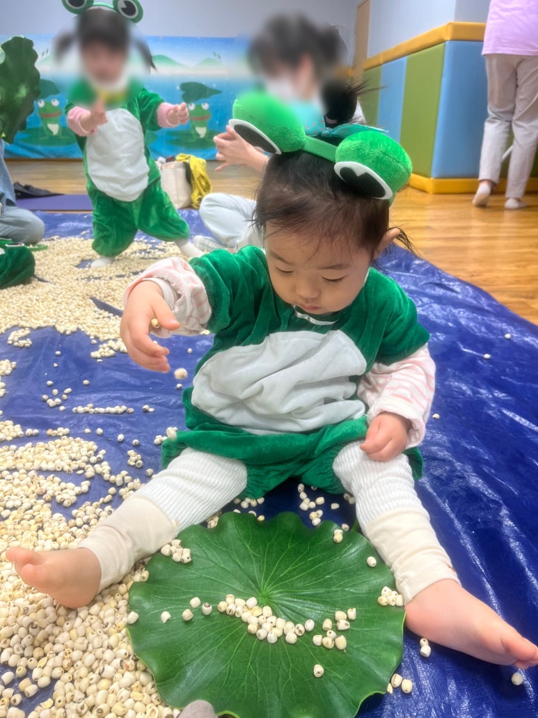 도레미씨앗 이미지