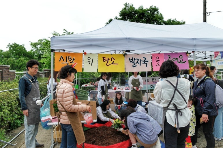 김양현한과 이미지