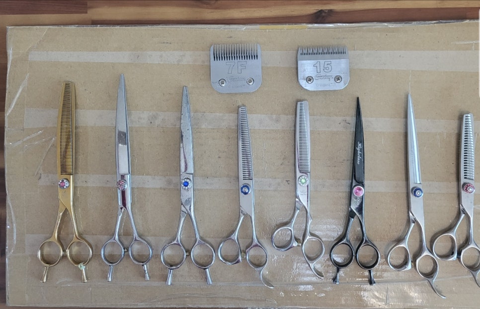 가위닥터사사끼가위 이미지