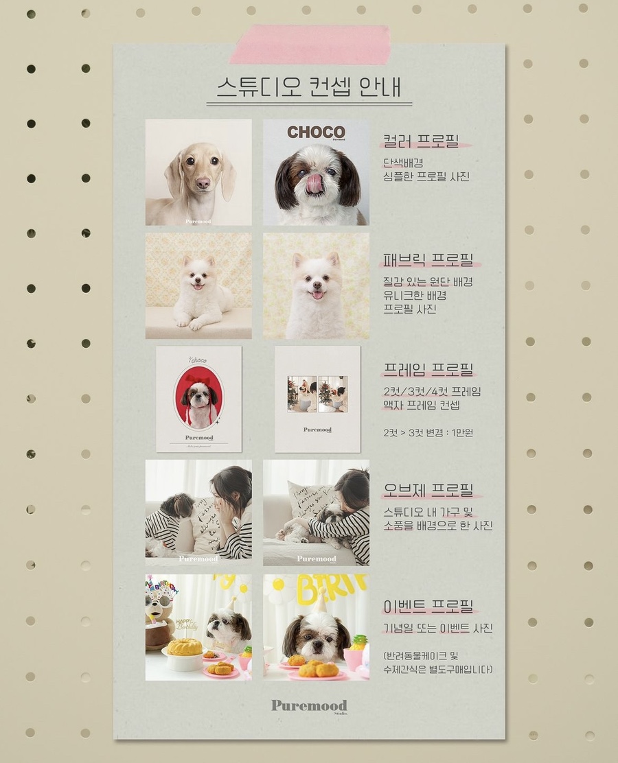 퓨어무드스튜디오 이미지