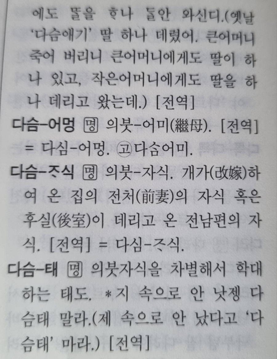 다슴 이미지