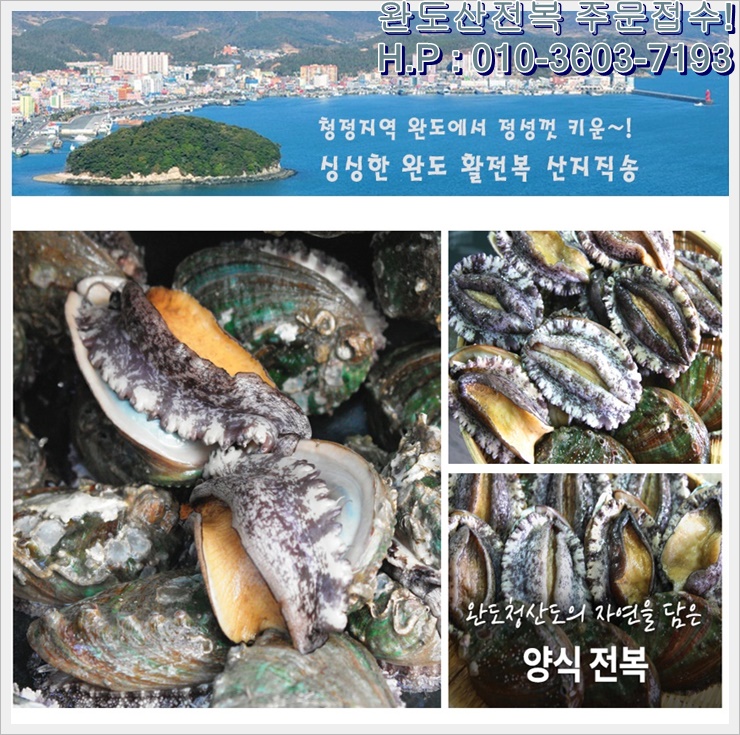 완도산전복산지직송 이미지