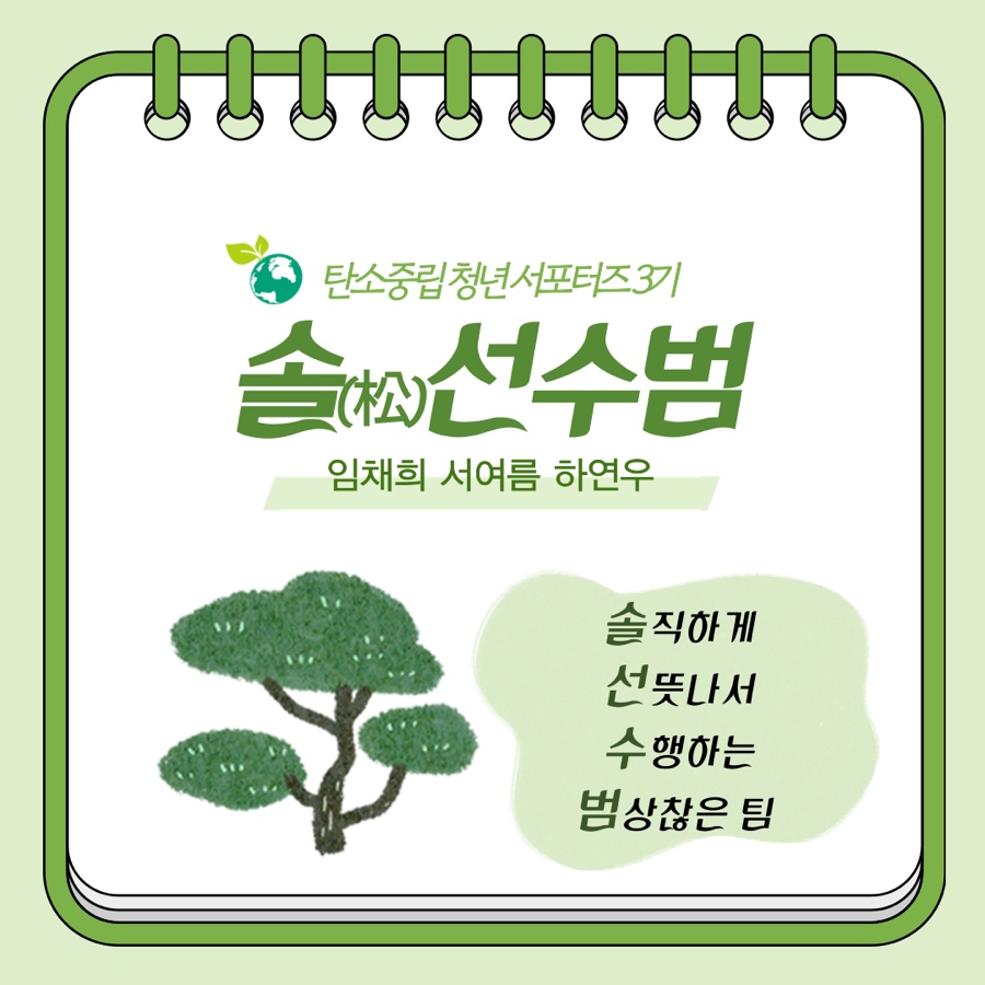 팀솔 이미지