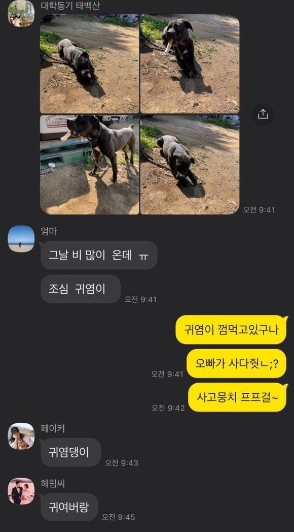 간식곤듀 이미지