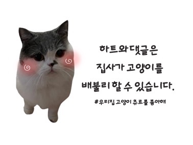소소떡볶이청주 이미지