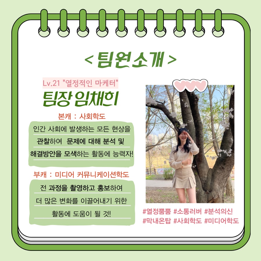 팀솔 이미지