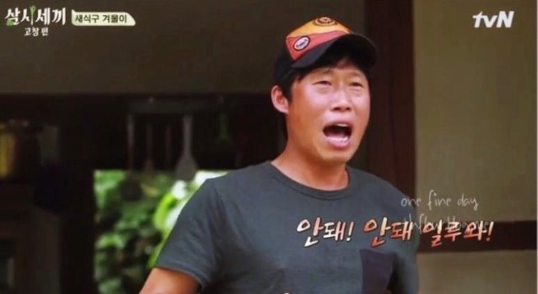 모더스 이미지