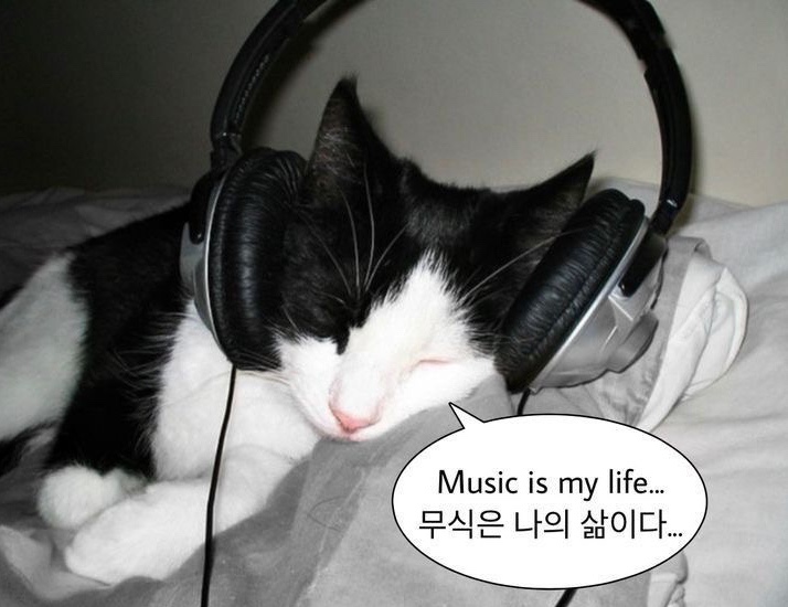 RNB 이미지