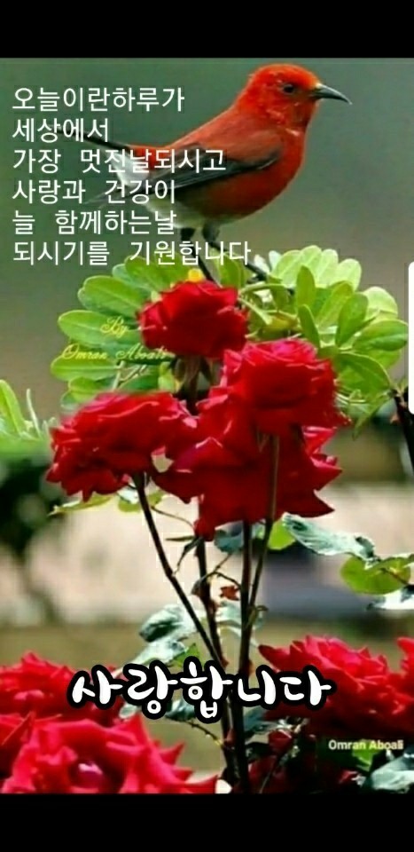 아이자람터 이미지