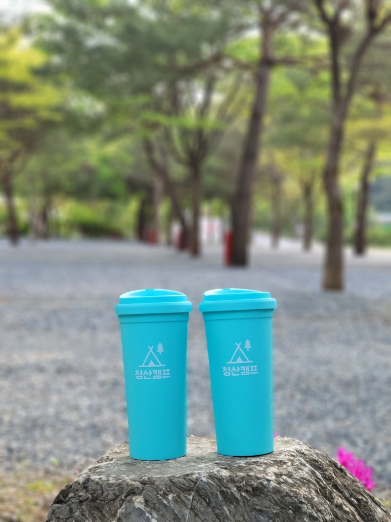 청산 캠프 이미지