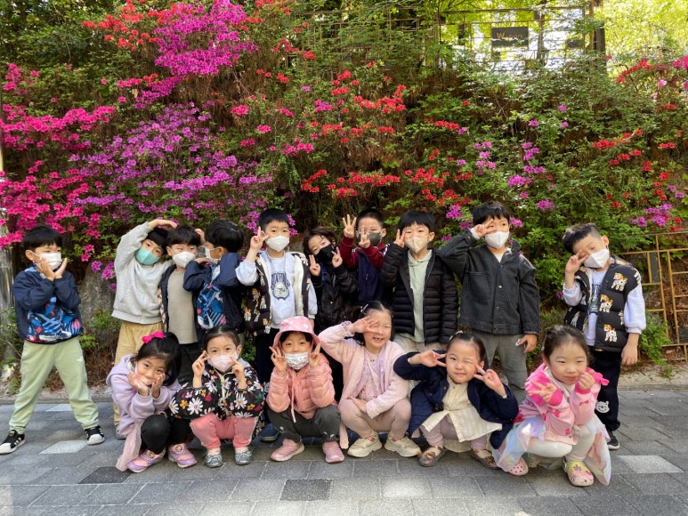 도레미씨앗 이미지