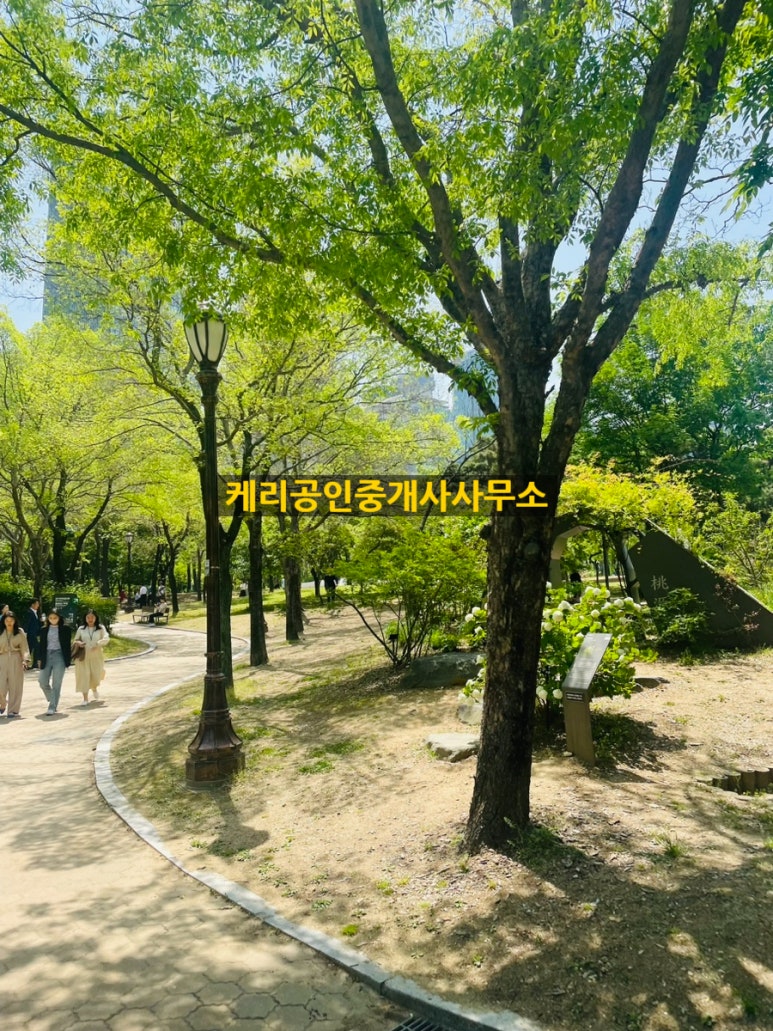 국제임대 이미지