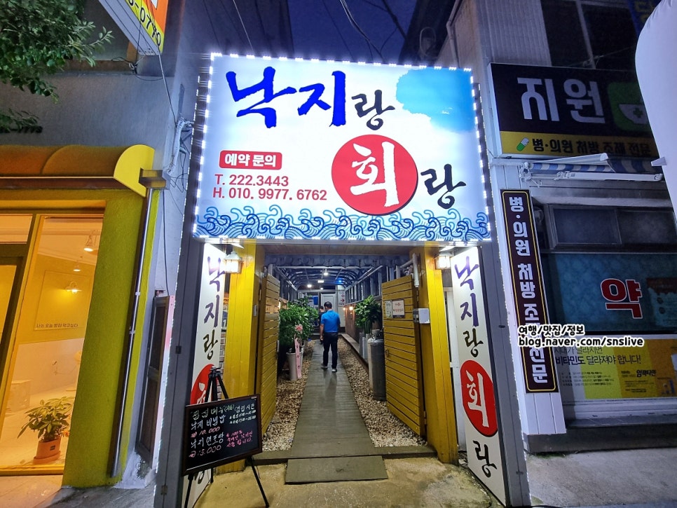 낙지랑회랑 이미지
