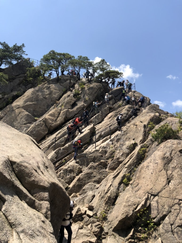 도봉산커피 이미지