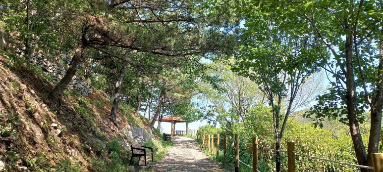 부산대학병원점파리바게뜨 이미지
