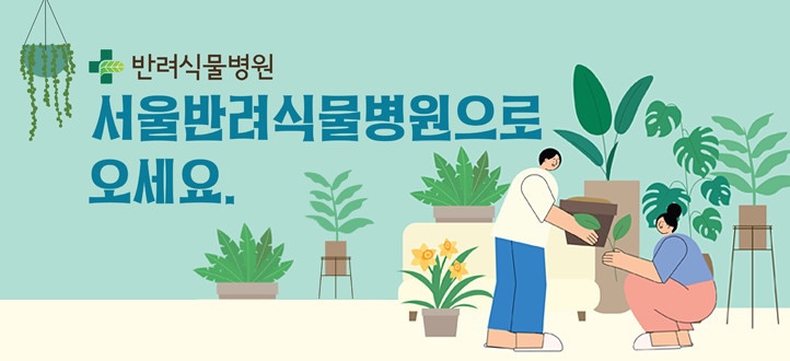 한국식물병원 이미지