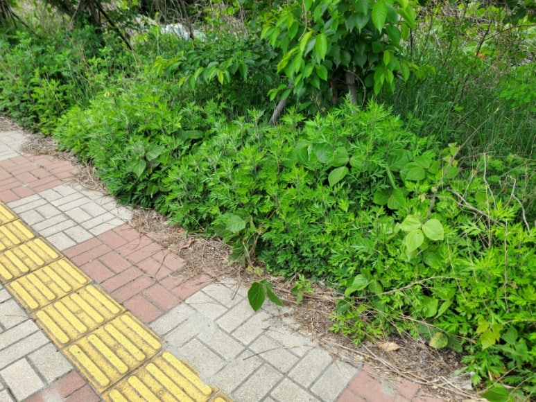 컴포즈커피진해웅동로점 이미지