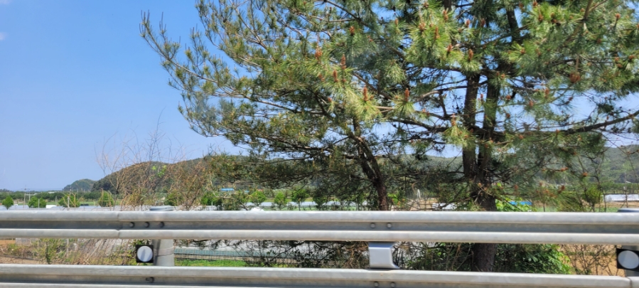 초곡용굴촛대바위카페 이미지